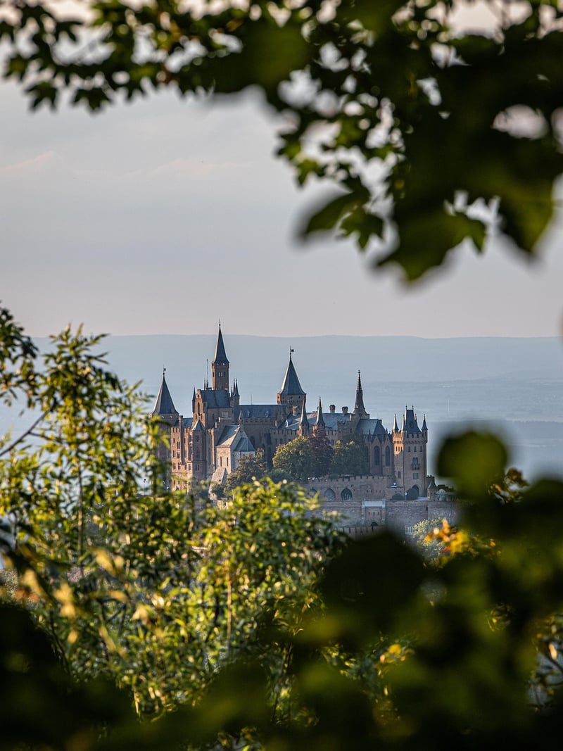 Medieval Castle Vibes